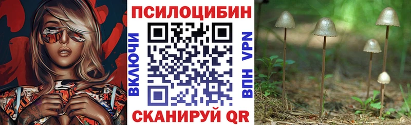 где можно купить Ишимбай Псилоцибиновые грибы ЛСД